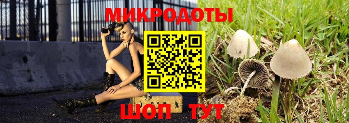 Псилоцибиновые грибы Psilocybine cubensis  Вход с VPN  Батайск 
