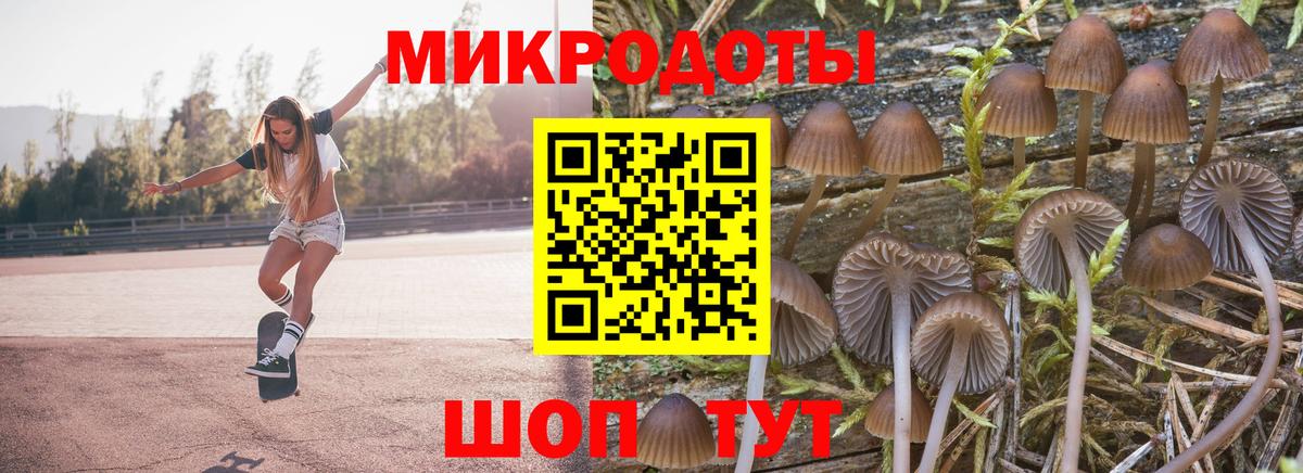 Псилоцибиновые грибы прущие грибы Батайск